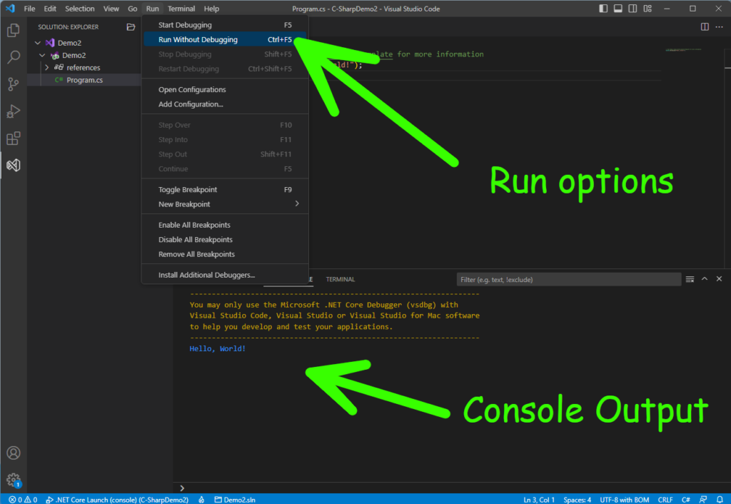 VsCode Showing the run button and the output console